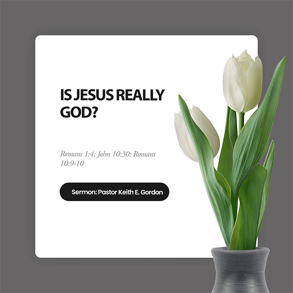 IS JESUS REALLY GOD?
